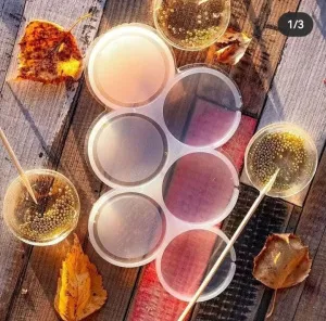 WhatsApp Image 2023-01-22 at 19.49.53